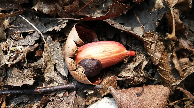 2729974F58DC9A8621B5DA