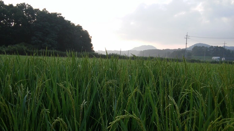 2116913D57983171231318