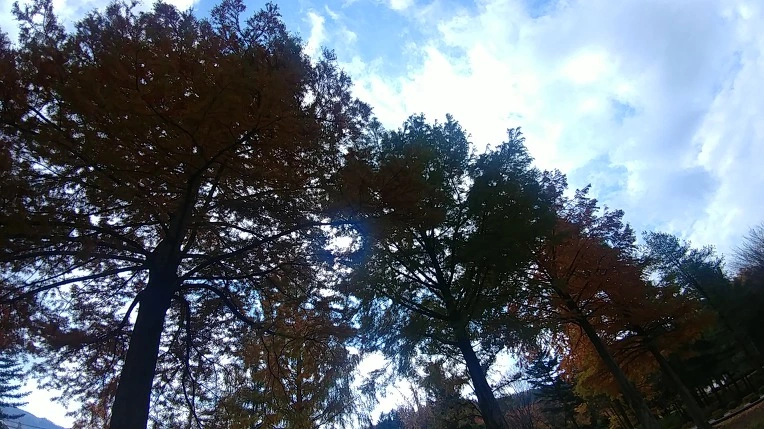 991B0B405BD6AD4804A529