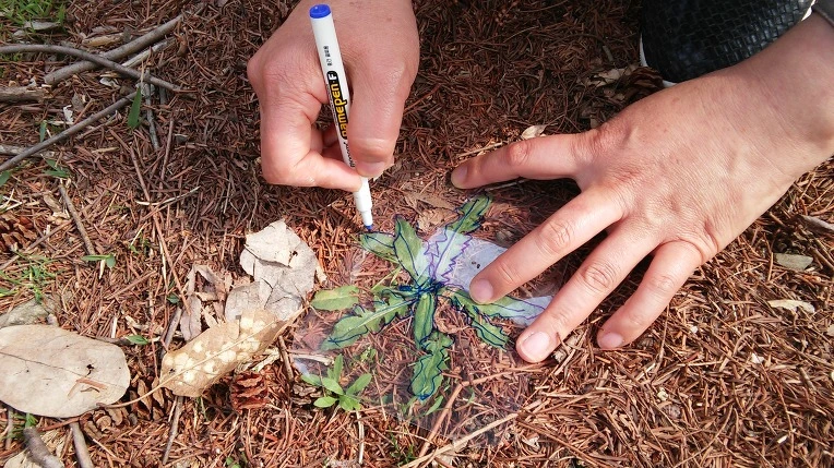 236A0250570965DC1E36A6