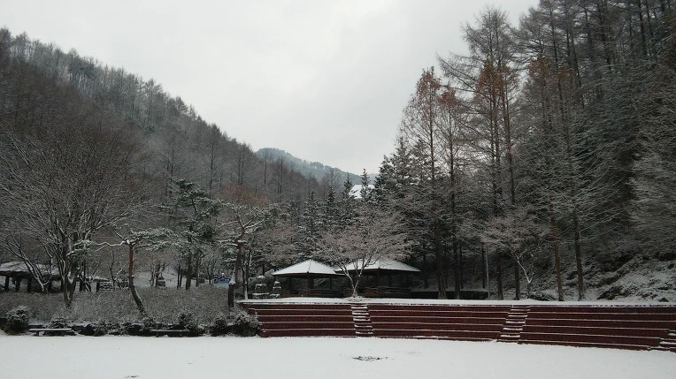 211C5C395656A51A306AA3