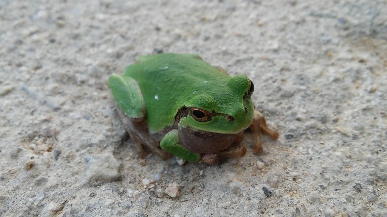 222BBF415746341931FAAB