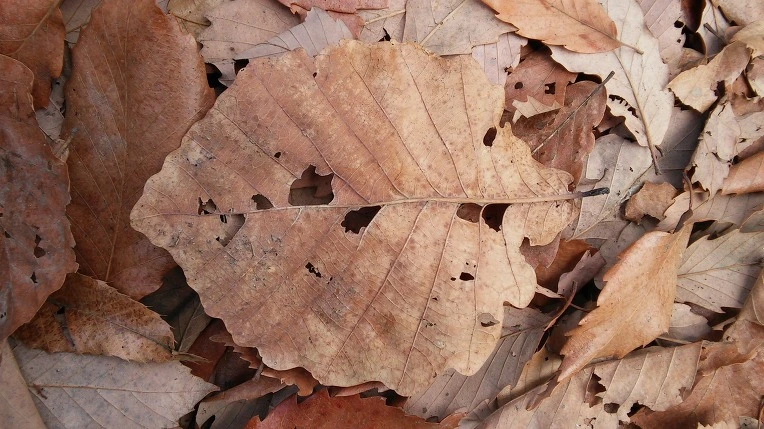 2548134E58B3665410B1B0