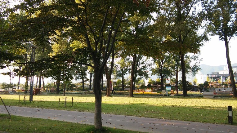 99F1FC3359E6B2A51A8D60