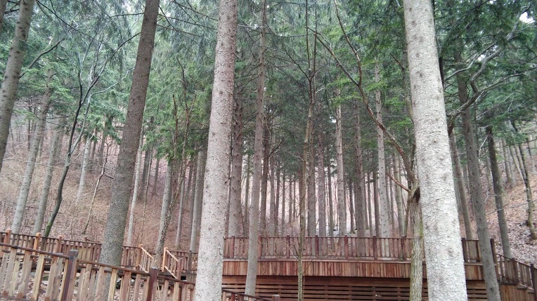 2302083C56EB9B9F049566