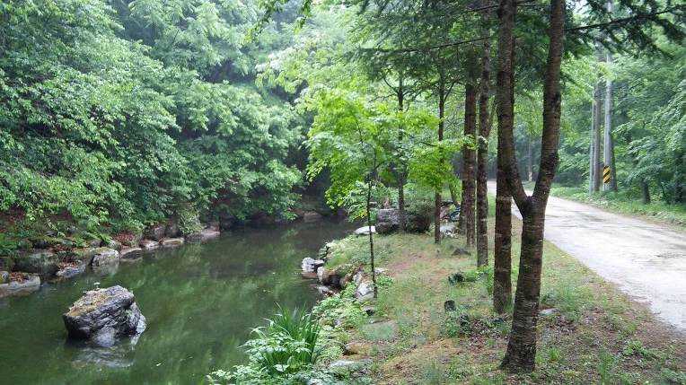 265B0A475924D6EA0C400E