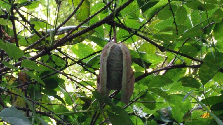 237B403855F8EF2F22D699