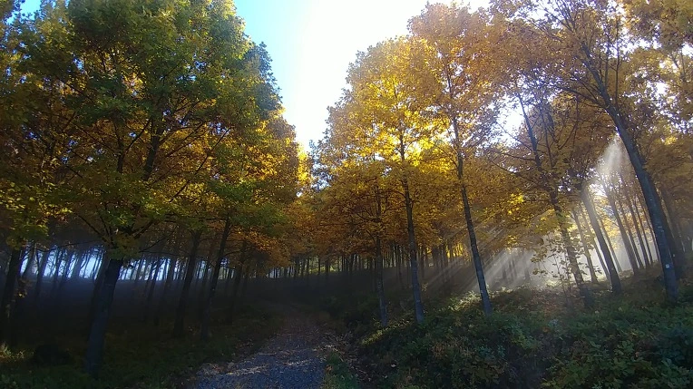 Df_lJ_cPPImQD21MCmseYVVaugA