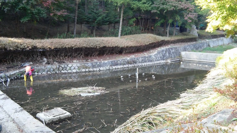 2610354C562051971247BD