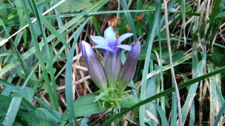 21102B3F564EB27A278DC4