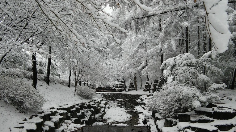 25765033565F94541C5E93