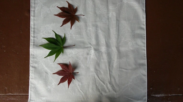 23261E3C5620A6632AB7A8