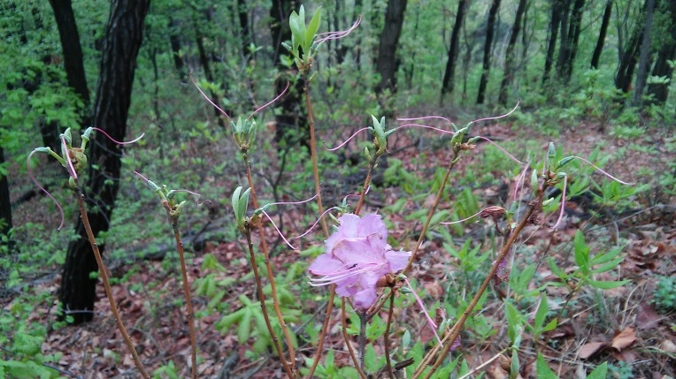 23763E47571ACEF01AF578