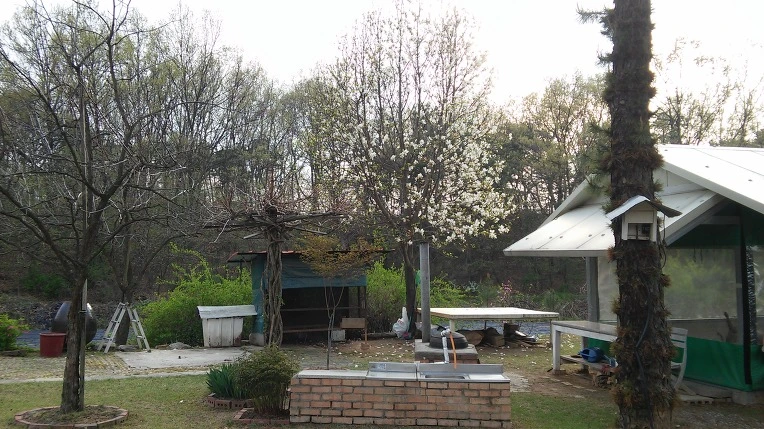 2471F9425714A19034632D