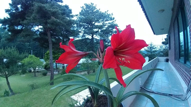 99DEB0505B1379782D2D06