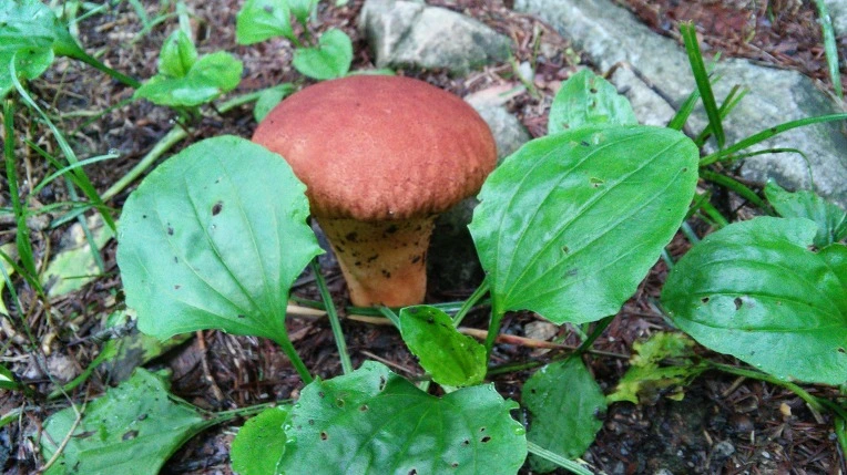 2319ED4856987C9B343B26