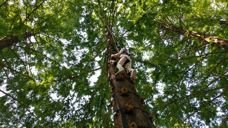 990A3B415B57BF9A0FE06A