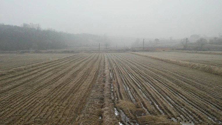 246B2D4F588025941AC559