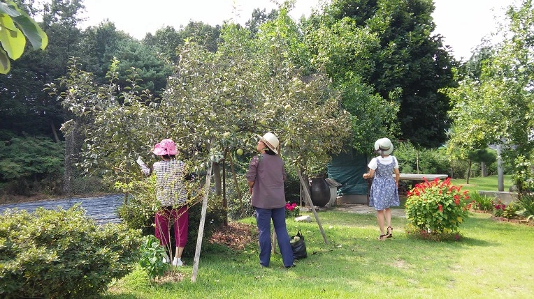 276CB0405622C0070B9675