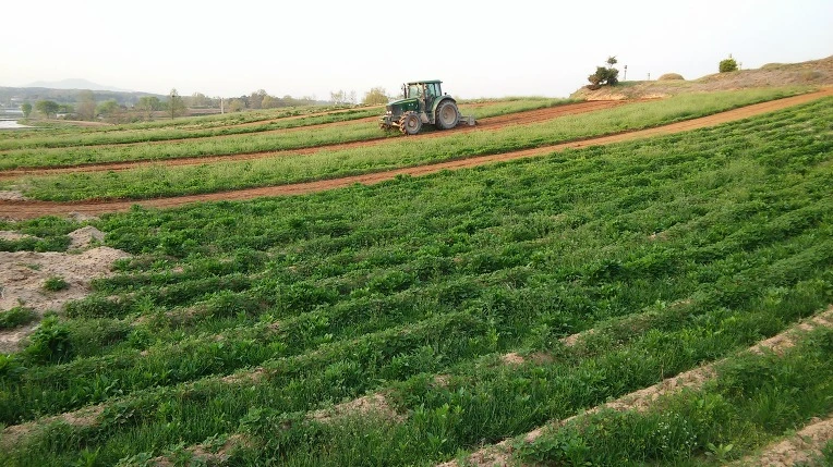 2467AF3B571DF45B1A9275