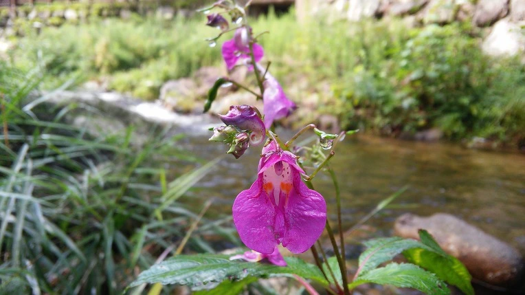 9917D93359A1F65A1E36A0