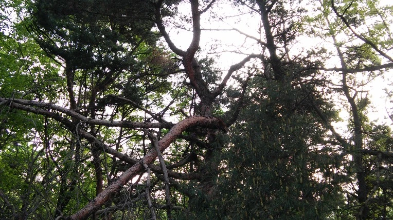 21423747572696FF171668