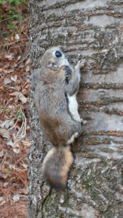 2240E63C551F525235F46E