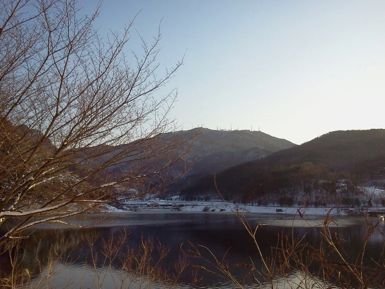 162BB63950C2AF1F065786