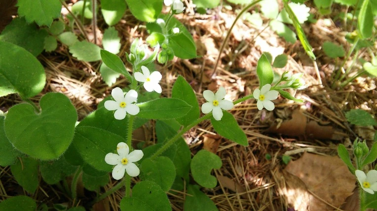 27420A405908E4CB270A2B