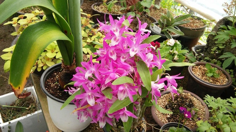 2263194B5724693D319B6B