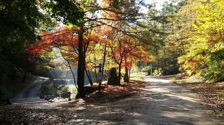 996F5D335A0ED11634CB66