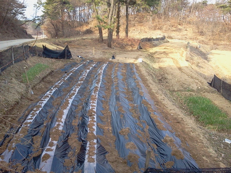 24422D3B515789CC248BC4