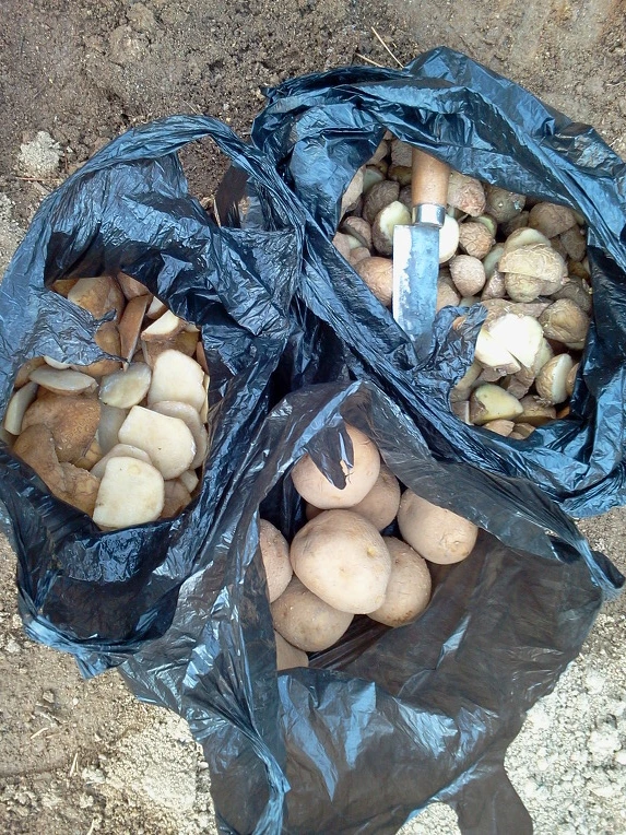 22491C3B515789891C7771