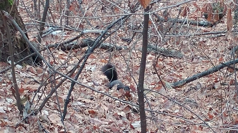 999B374A5C92115E31653A