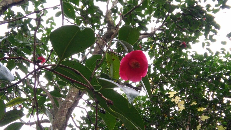 216FA239564008F0288DE7