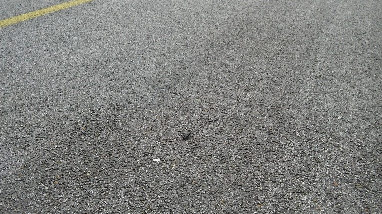 990880335984F82A19CBAA