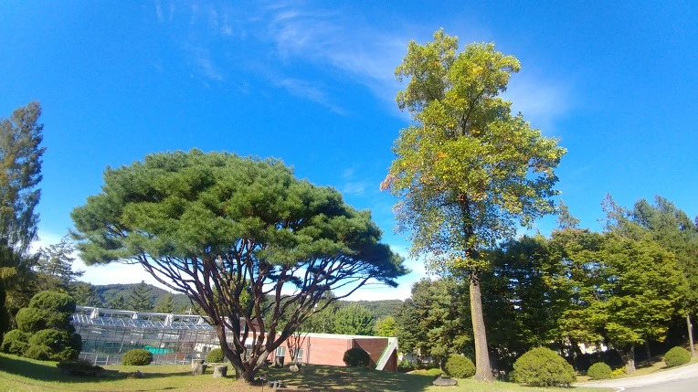 9946BC345C2758A41AB111