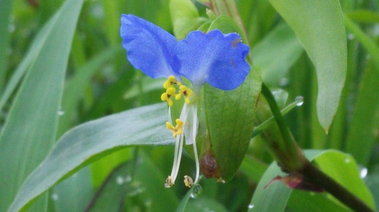 24530D4F577B39A310E7D0