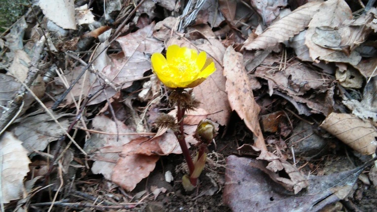 213B924056D108711FC099