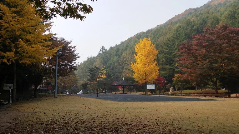 2756D44556281DCB310CBA