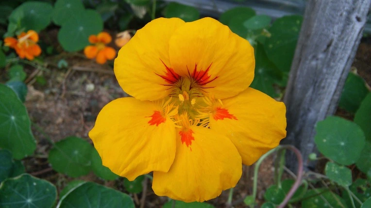 996D183359A1F654234410