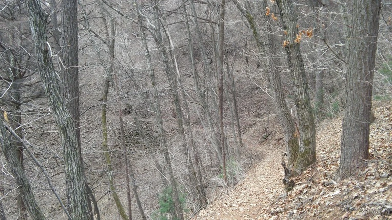 272DDA3756F3919703BEE8