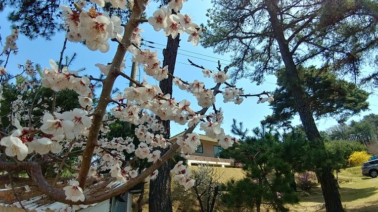 991B47505ACD329A1D5FA2