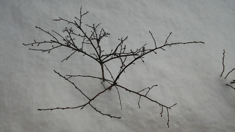 272EF63B58845E2F2670C0