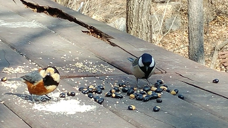 9928CB495C8861EB0FA086