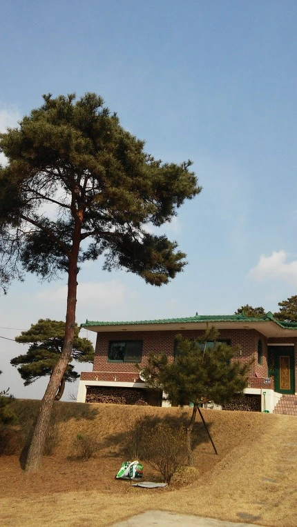 266FBE3956B307620ED730