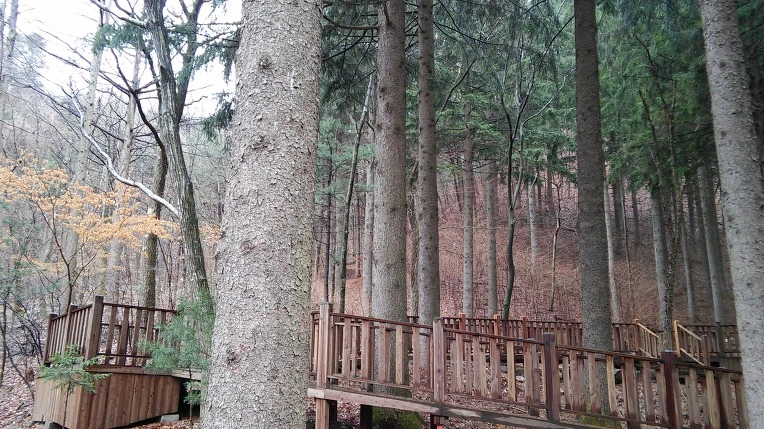 2136113C56EB9BA63DDB22