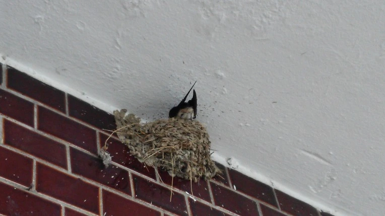 23506D4D577B3AFE373605