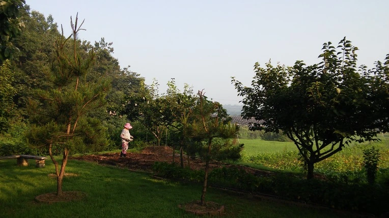 2406E84857A523892CCA12