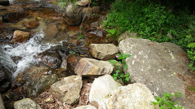 99EF59335984F8421AD128